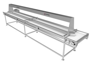 Işıklı Seçme Konveyörü