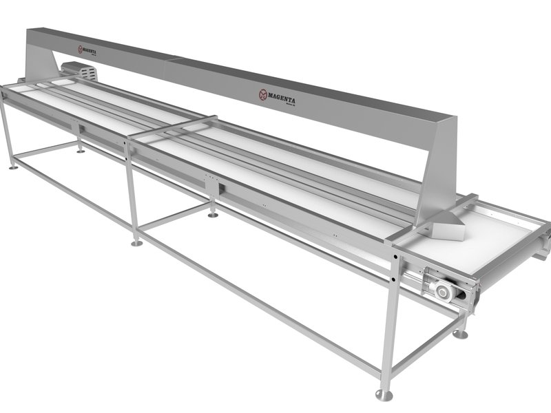 Işıklı Seçme Konveyörü