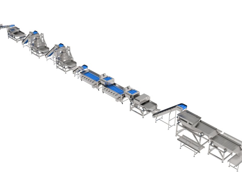 Kuru Kayısı Yıkama Hattı