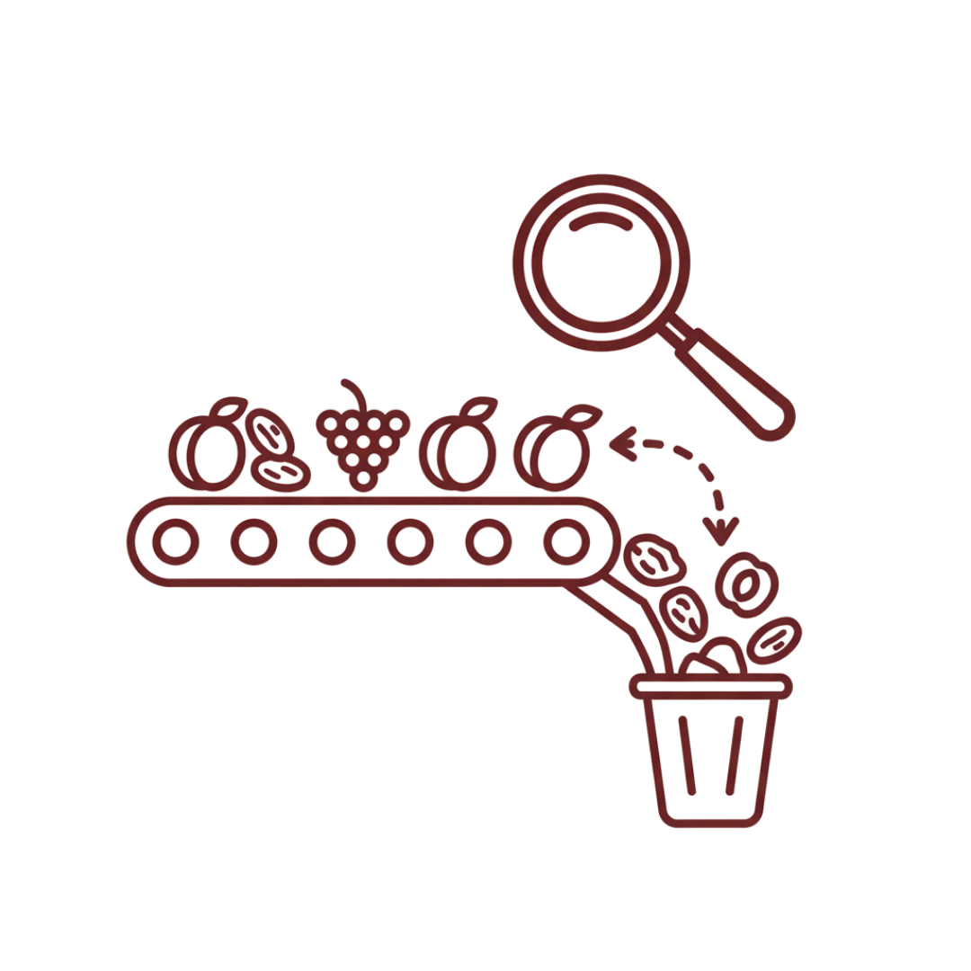 Ayrıştırıcılar Grubu