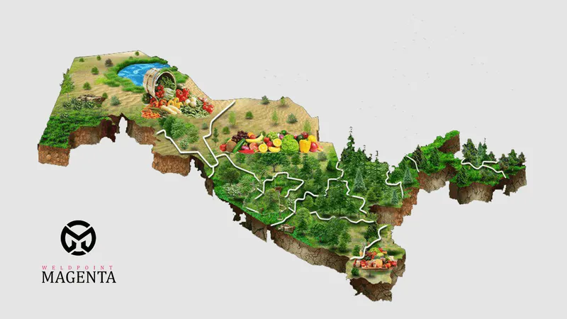 Özbekistan'da Kurutulmuş Gıda İşleme Teknikleri ve Gıda İşleme Teknolojilerine Bakış